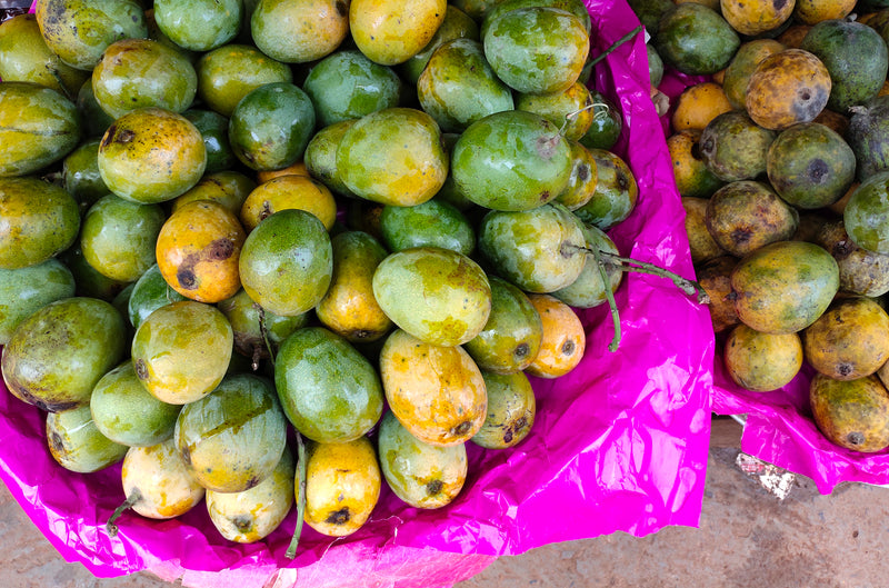 Mango Drinks: Benefits, Recipes, and More!
