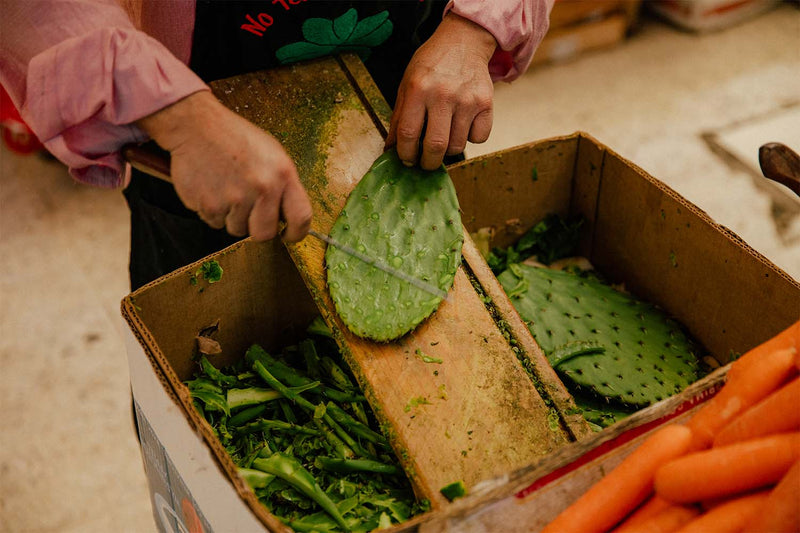 Nopal Benefits That Might Surprise You!