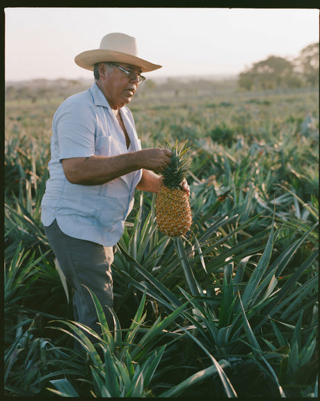 History of Tepache