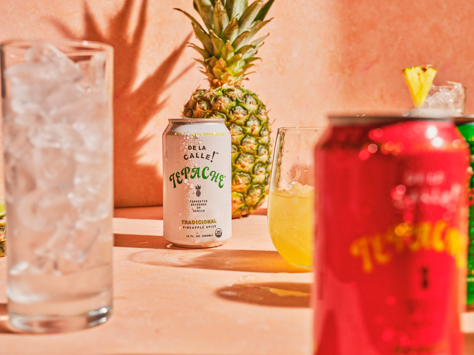 ABV: How Much Alcohol Does Tepache Have?