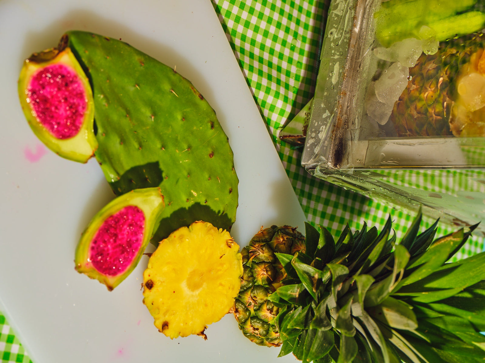 Types Of Cactus That Can Be Made Into Drinks