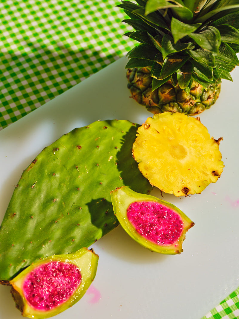 The Nopales Cactus