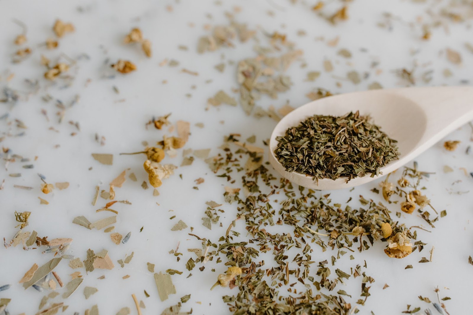 What Is Mexican Oregano?