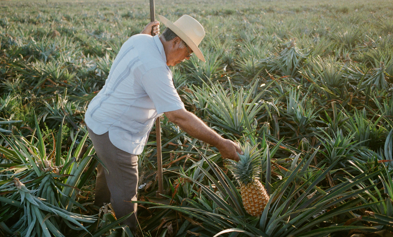 La Historia del Tepache: A Drink 2,700 Years in the Making