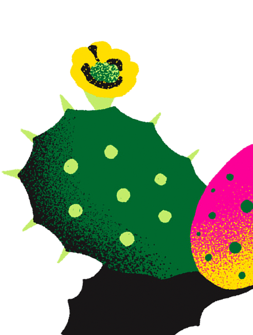 Colorful illustration of a cactus with a face on a white background