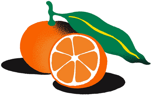 Illustration of an orange with a half-cut orange and a green leaf on a white background