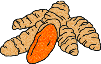 FERMENTED & PROBIOTIC